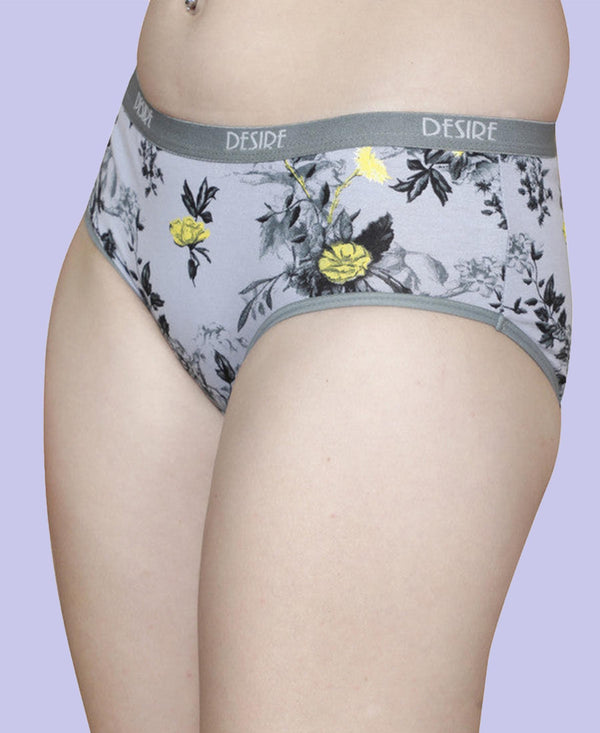 T.T. Womens Desire Hi-Cut Panty Pack Of 3