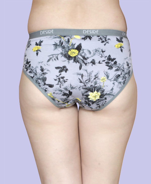 T.T. Womens Desire Hi-Cut Panty Pack Of 3