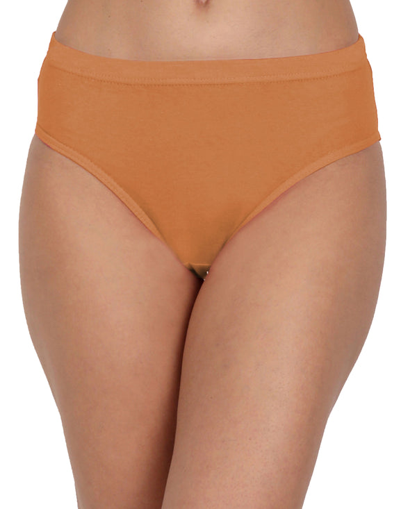 T.T. Women, Cotton Spandex,Mid-Rise, Full Coverage Briefs For Daily Wear, Soft Breathable Comfort Panty, Pack Of 3, Brown-Biscut-Babyblue
