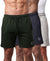 T.T. Men Regular Fit Cotton Bermuda Short With Rib Band | Side Pocket | Pack Of 3-Green,Steel Grey,Grey Melange