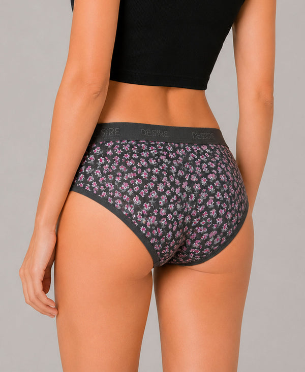 T.T. Women|Cotton|Mid-Rise|Full Coverage Desire Printed Briefs For Daily Wear|Soft Breathable Comfortable Panty|Pack Of 2|Red,Grey