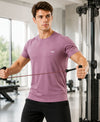 HiFlyers Men Regular Fit Polyster Pique Round Neck Half Sleev Tshirt Dark Onion