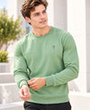 T.T. Men Classic Winter Essential T-Shirt|Polyester 180 Gsm|Regular Fit|Round Neck|Full Sleeve TeesGreen