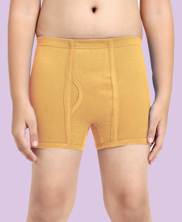 T.T. Boys |Regular Fit|Breathable & Soft Innerwear|Front Open Kids Trunks| Pure Cotton |Jazz Fine Long Inner Elastic Trunks|Boys Trunks Pack Of 4-Mix Color