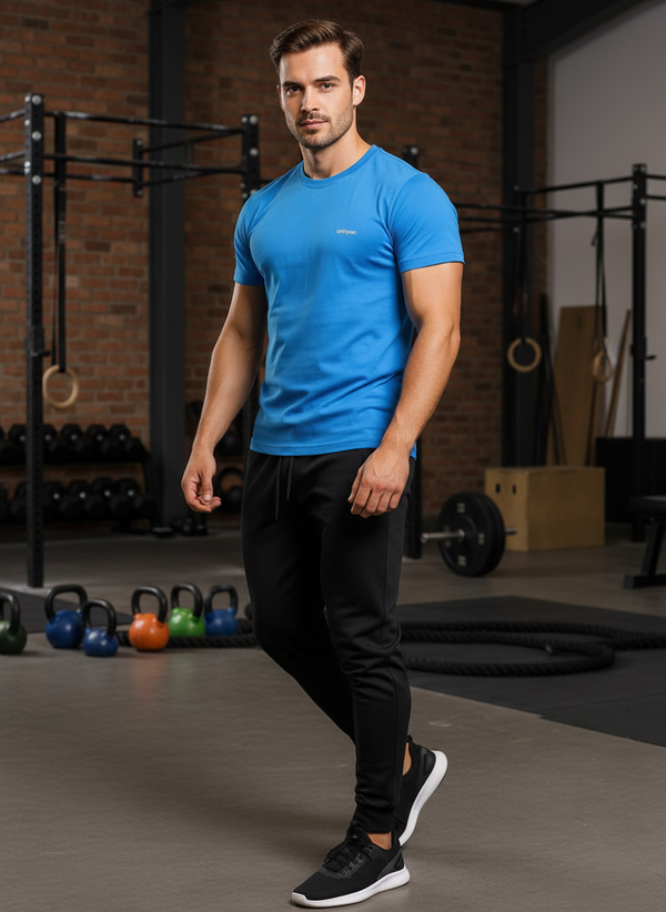 HiFlyers Men Slim Fit Solid Premium Rn Tshirts Senport Ted