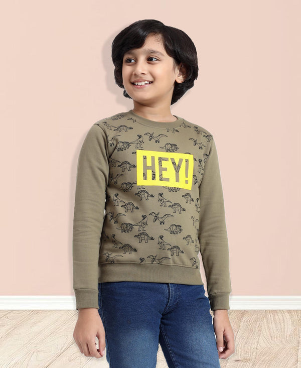 HiFlyers Boys Regular Fit | Premium Cotton Fleece |Full Sleeves|Round Neck|Trendy Winter Wear| Sweatshirts For Boys And Girls -Green