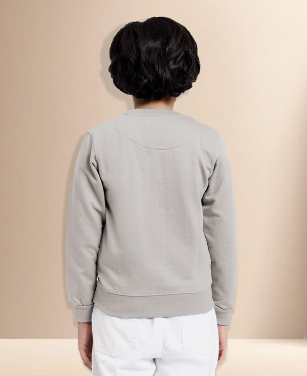 HiFlyers Boys Regular Fit | Premium Cotton Fleece |Full Sleeves|Round Neck|Trendy Winter Wear| Sweatshirts For Boys And Girls -Grey