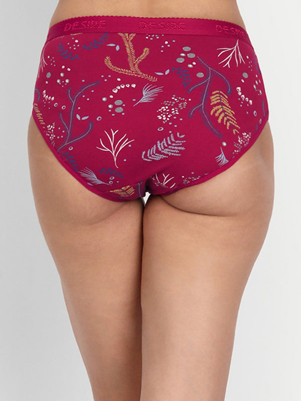 T.T. Women Desire Hi-Cut Panty Pack Of 2