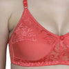 Women Spandex Net Bra