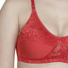 T.T. Women Platting Hos With Spandex Net Bra Pack Of 2 Skin-Red