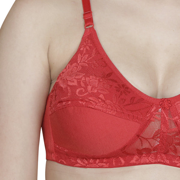 T.T. Women Platting Hos With Spandex Net Bra Pack Of 2 Skin-Red