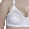 T.T. Women Platting Hos With Spandex Net Bra Pack Of 2 Blue-White