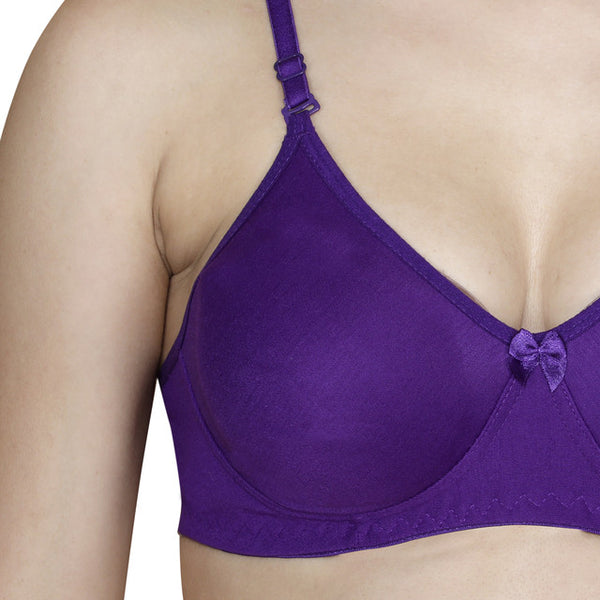 T.T. Women Paded Moulded Cup Bra Pack Of 3 White-Purple-Fuschia