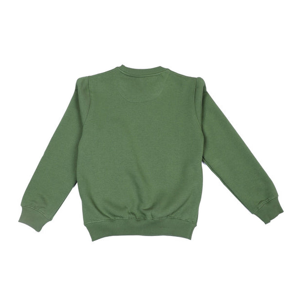 HiFlyers Kids Green Regular Fit Printed Round Neck Sweatshirt