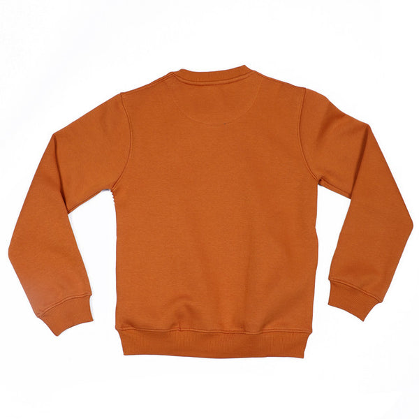 HiFlyers Kids Tan Regular Fit Printed Round Neck Sweatshirt