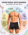 Hiflyers Men|Soft Breathable Odour-Free Micro Modal With Spandex Fabric|Regular Fit|Luxurious All-Day Innerwear Trunk|Grey