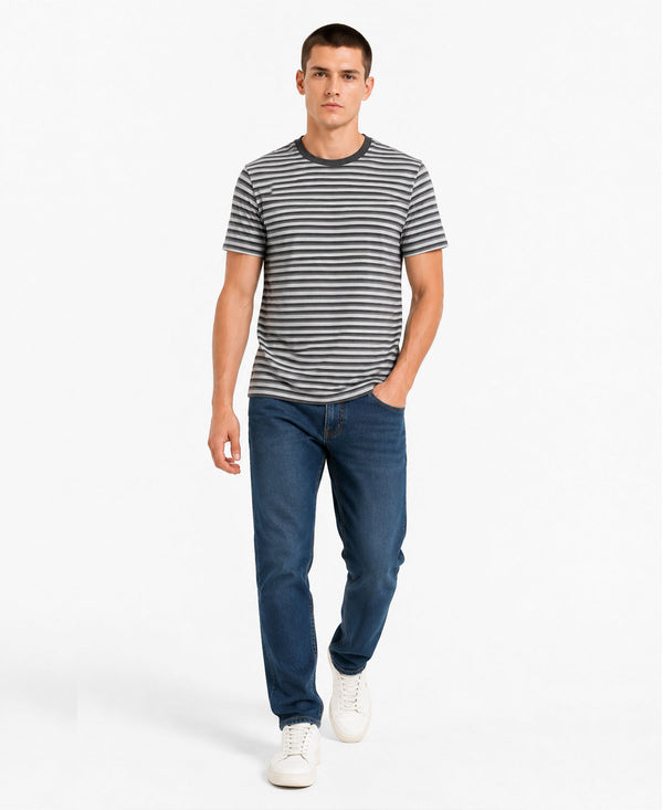 T.T. Men Slim Fit Cotton Round Neck | Striped Tees | Soft Breathable Fabric | Gym, Casual & Outdoor Wear T-Shirt
