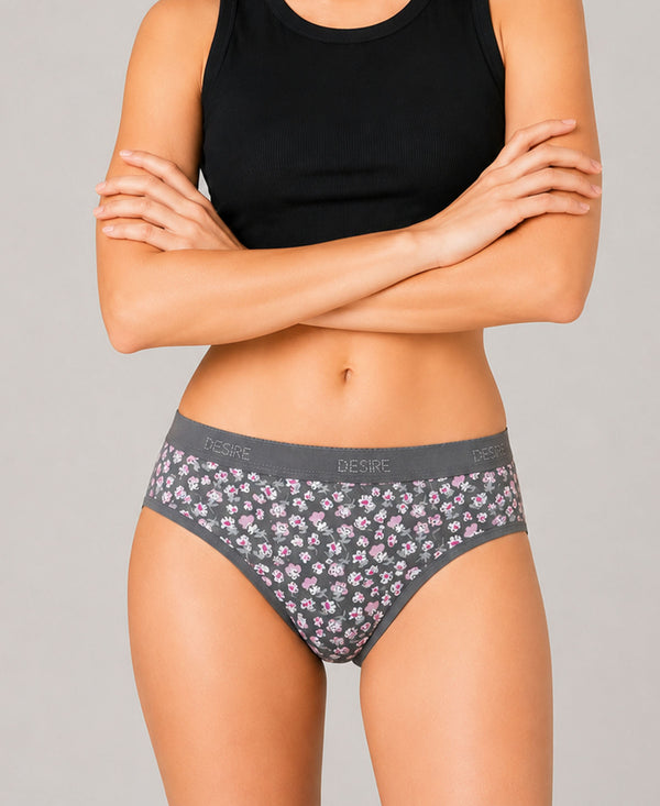 T.T. Women|Cotton|Mid-Rise|Full Coverage Desire Printed Briefs For Daily Wear|Soft Breathable Comfortable Panty|Pack Of 2|Blue,Grey