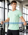 HiFlyers Men Regular Fit Polyster Pique Round Neck Half Sleev Tshirt Pista