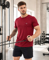 HiFlyers Men Regular Fit Polyster Pique Round Neck Half Sleev Tshirt Maroon