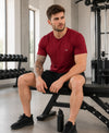 HiFlyers Men Regular Fit Polyster Pique Round Neck Half Sleev Tshirt Maroon