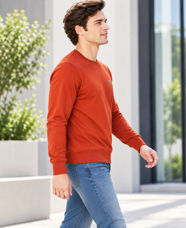 T.T. Men Classic Winter Essential T-Shirt|Polyester 180 Gsm|Regular Fit|Round Neck|Full Sleeve Tees|Pack Of 2|Rust,Yellow
