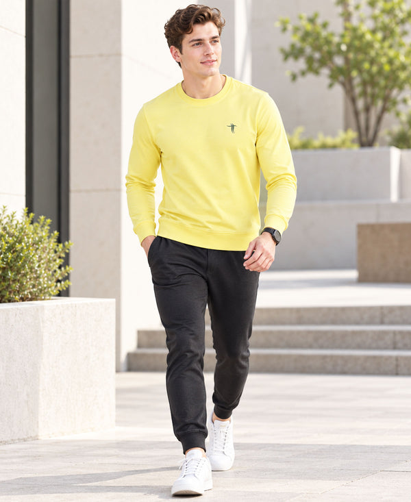 T.T. Men Classic Winter Essential T-Shirt|Polyester 180 Gsm|Regular Fit|Round Neck|Full Sleeve Tees|Pack Of 2|Green,Yellow