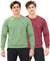 T.T. Men Classic Winter Essential T-Shirt|Polyester 180 Gsm|Regular Fit|Round Neck|Full Sleeve Tees|Pack Of 2|Green,Onion