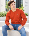 T.T. Men Classic Winter Essential T-Shirt|Polyester 180 Gsm|Regular Fit|Round Neck|Full Sleeve TeesRust