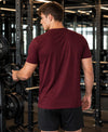 Hiflyers Men Regular Fit Cotton Round Neck T-Shirt |Pack Of 2|Maroon,Olive