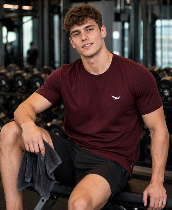Hiflyers Men Regular Fit Cotton Round Neck T-Shirt |Pack Of 2|Maroon,Olive