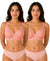 T.T. Women Desire Printed Bra PO2 Orange