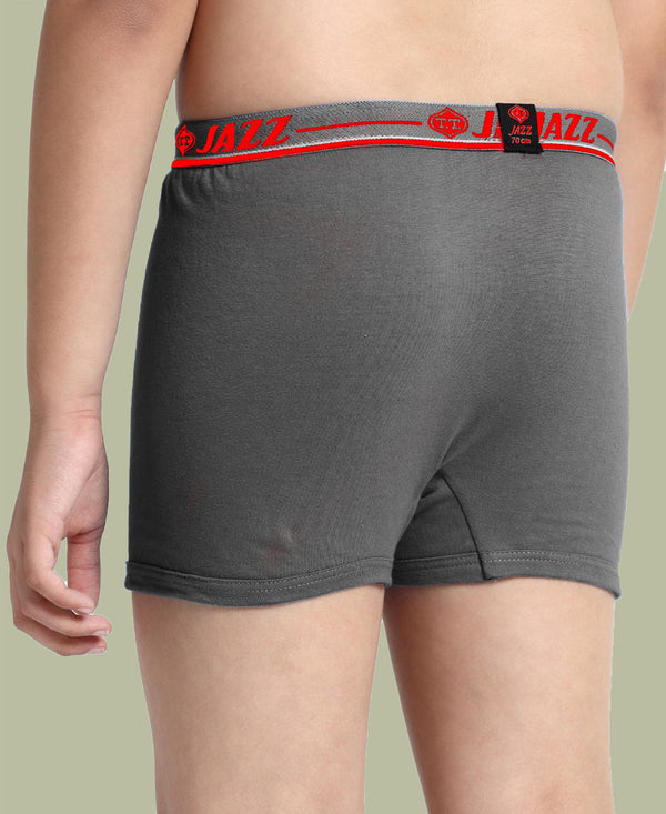 T.T. Boys |Regular Fit|Breathable & Soft Innerwear|Front Open Kids Trunks| Pure Cotton |Jazz Fine Long Top Elastic Trunks|Boys Trunks Pack Of 3-Anthra-Skin-Grey