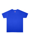 T.T Mens Royal Blue Regular Fit  Poly Jersey V-Neck Half Sleeve T-Shirt