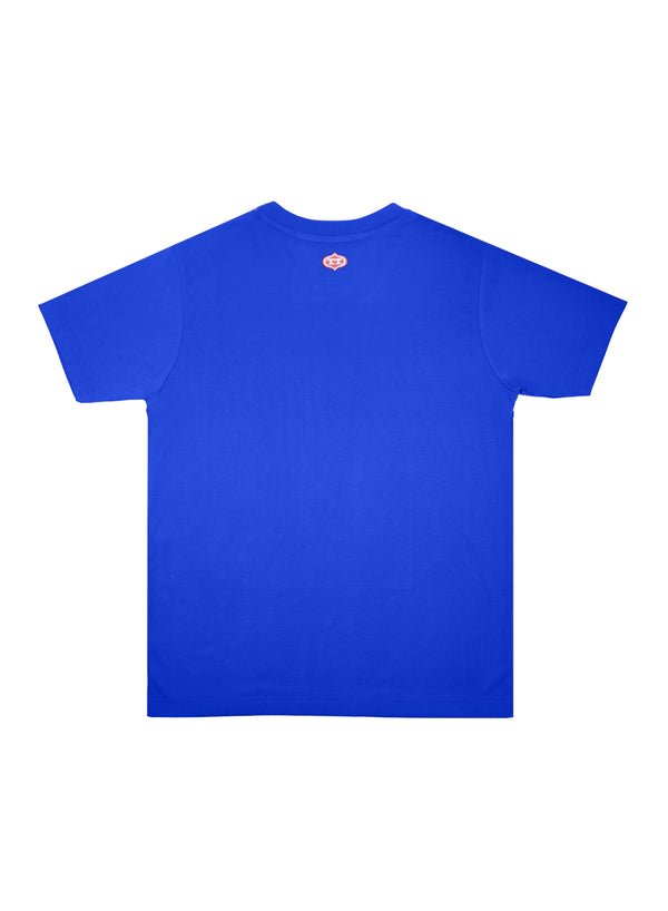 T.T. Mens Royal Blue Regular FitPoly Jersey V-Neck Half Sleeve T-Shirt