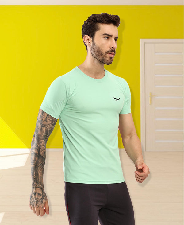 HiFlyers Men Regular Fit Polyster Pique Round Neck Half Sleev Tshirt Pista