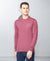 T.T. Men Onion Cotton Polyster Regular Fit Solid Sweatshirt Style Tshirt