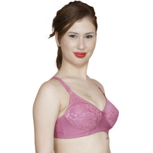 T.T. Women Platting Hos With Spandex Net Bra Pack Of 2 Red-Pink